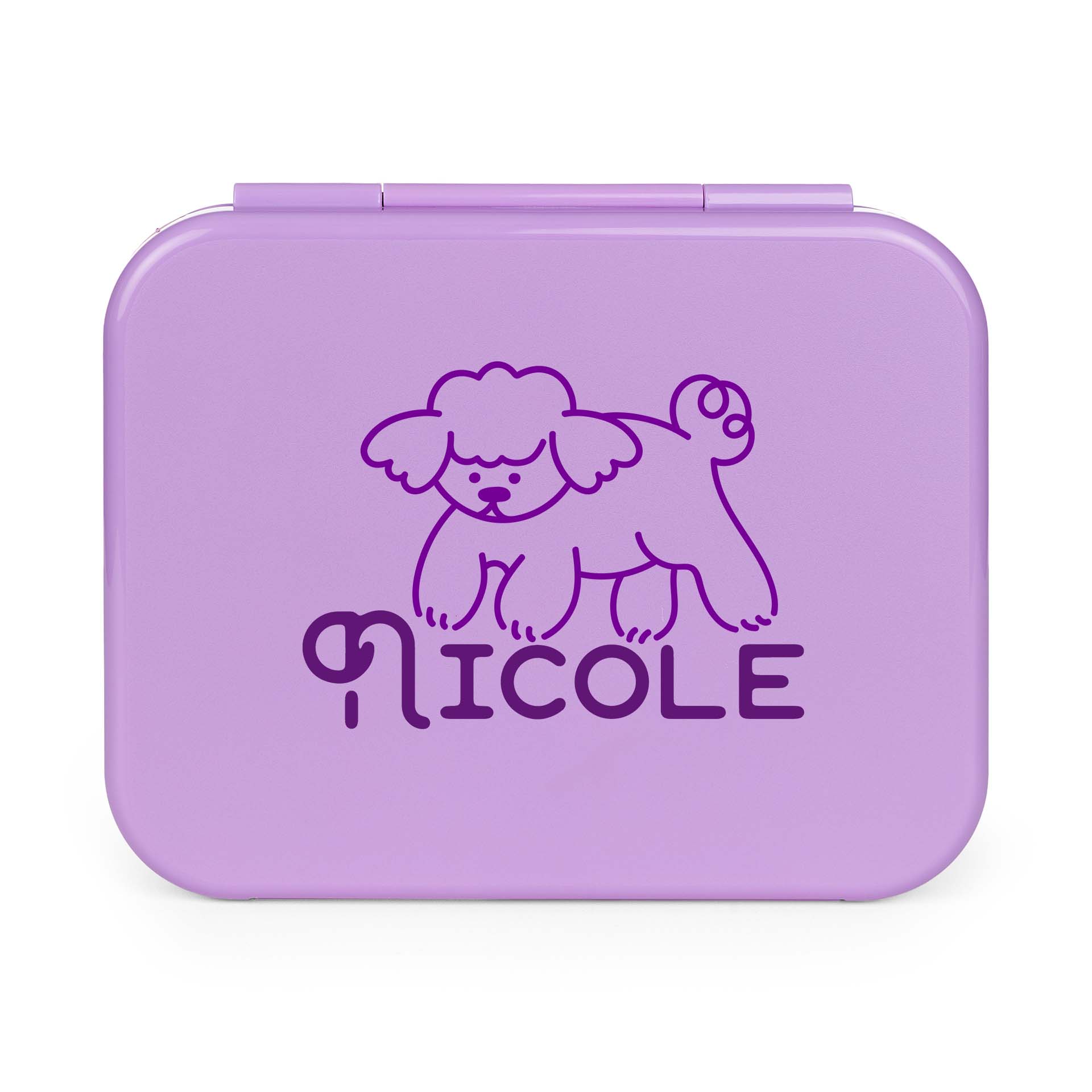 Day Packer Lunch Container